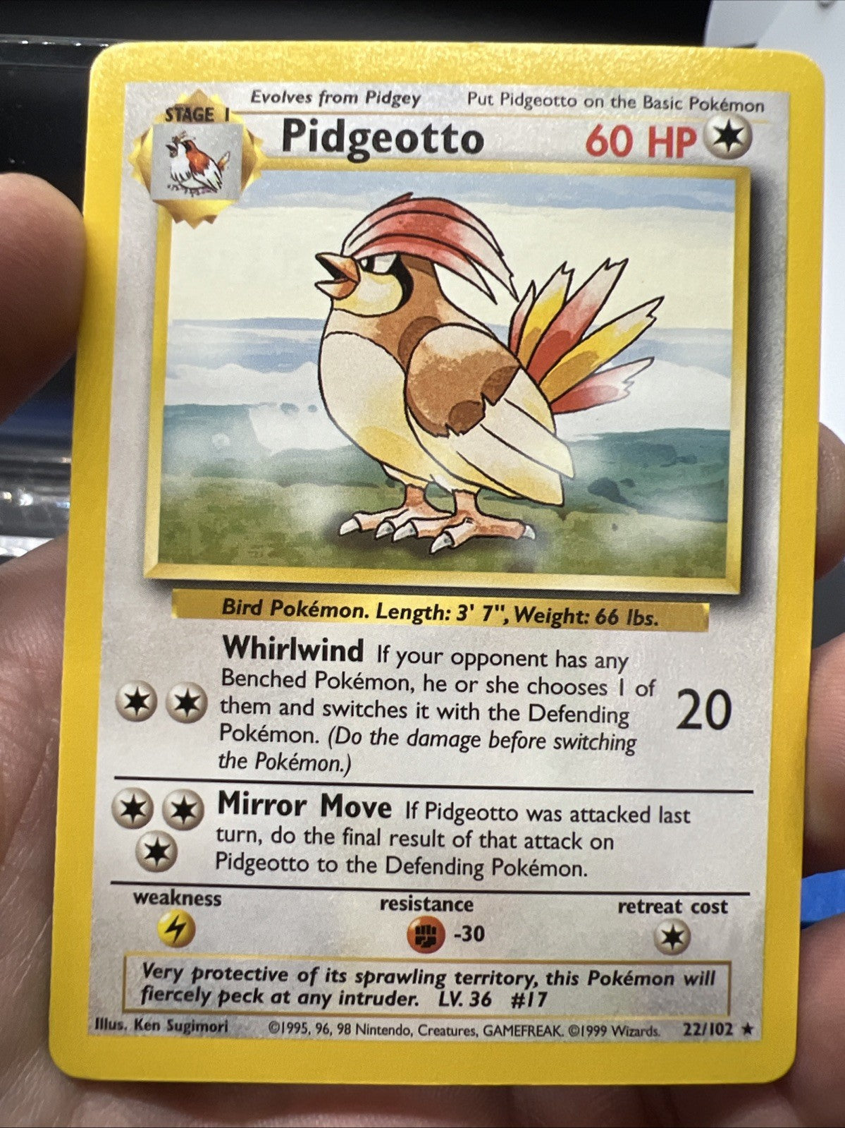 Pokemon Pidgeotto 022/102 Base Set Rare Non Holo - NEAR MINT