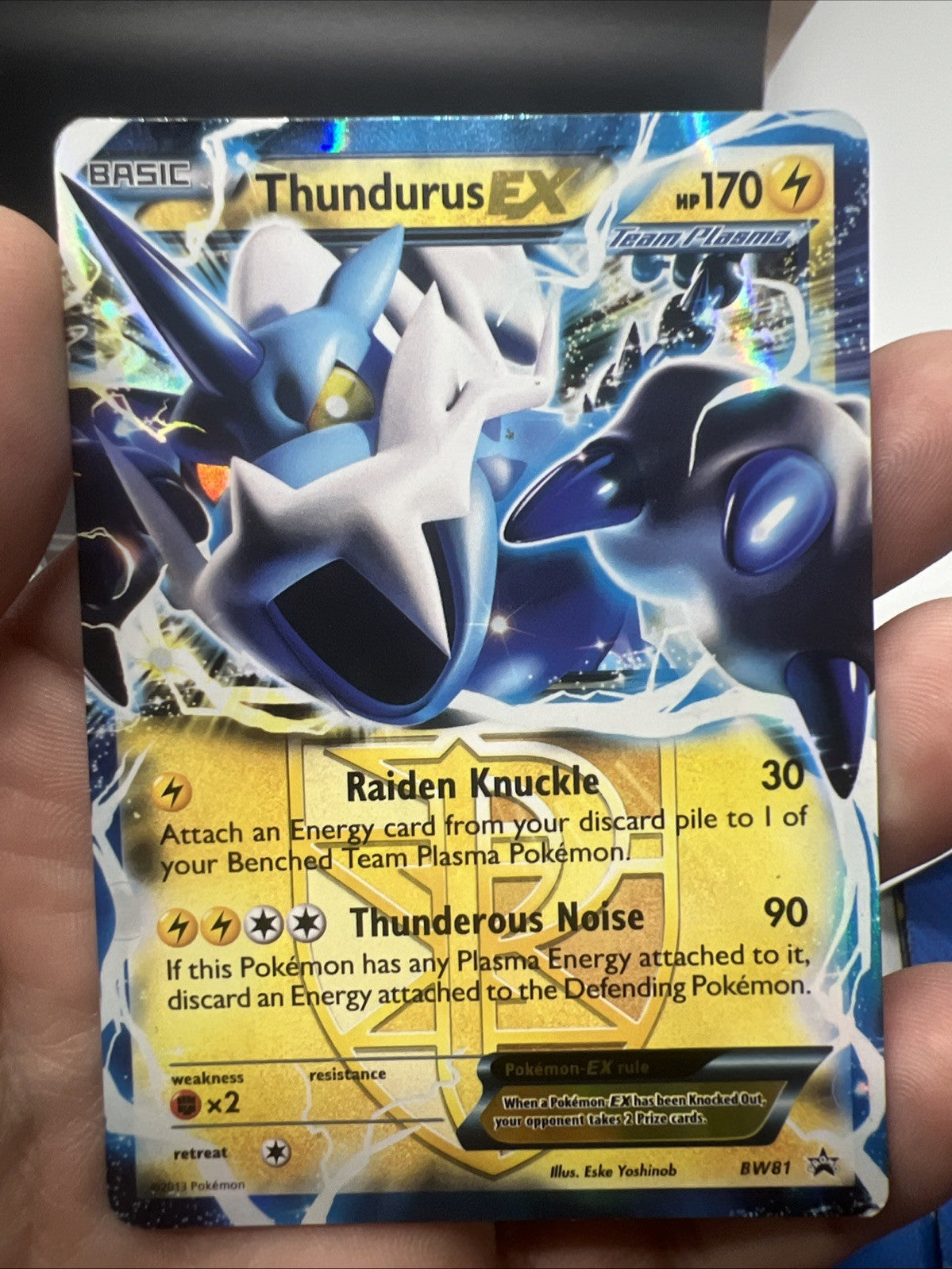 Pokemon Thundurus EX (Team Plasma) BW81 Black & White Holo - MOD PLAY