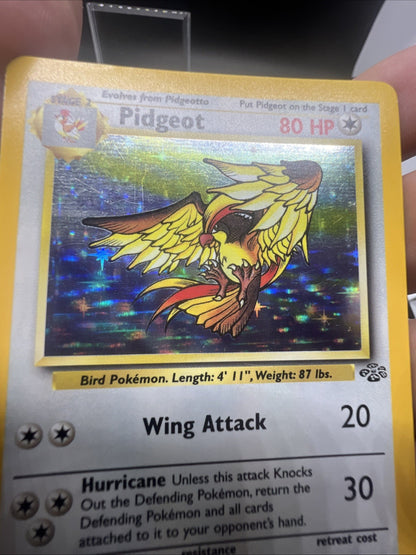 Pokemon Pidgeot 08/64 – Jungle – Holo Rare – Moderate Play