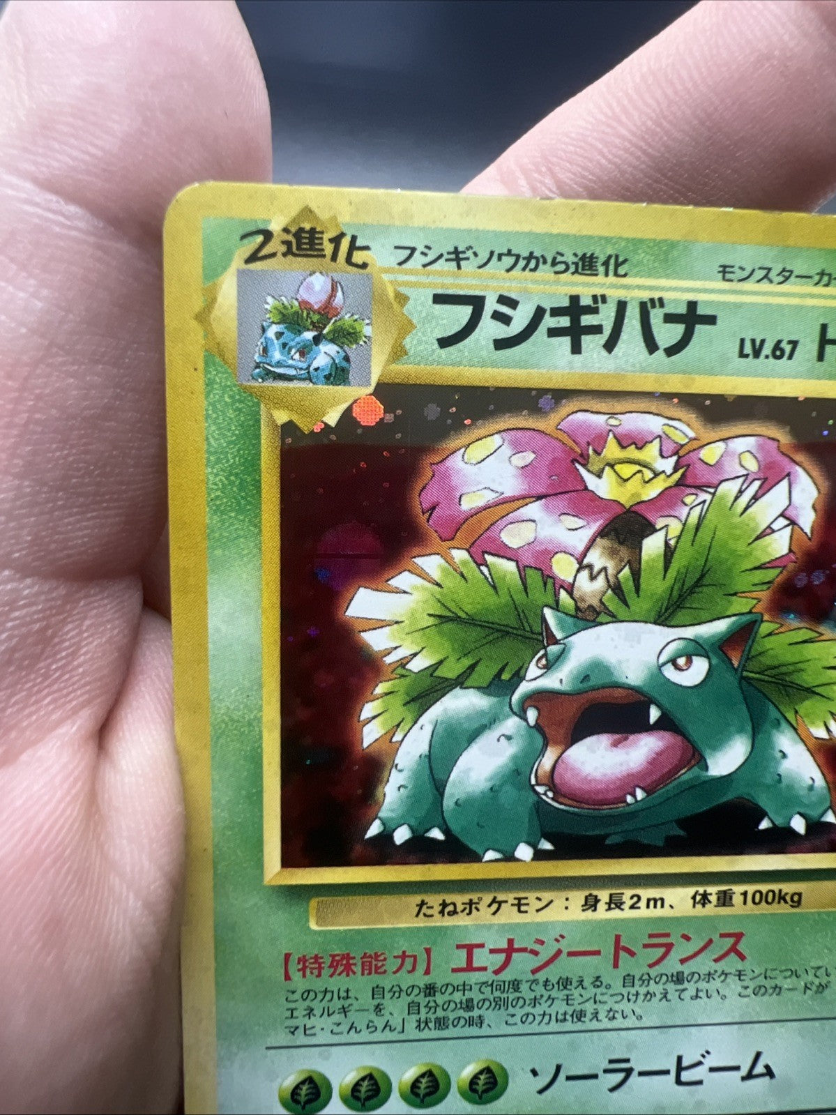 Pokemon Venusaur – Intro Pack (Bulbasaur Deck) – Holo (Japanese) – Moderate Play
