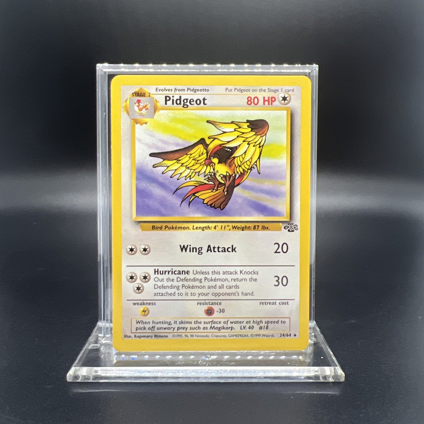 Pokemon Pidgeot 24/64 Jungle - LIGHT PLAY