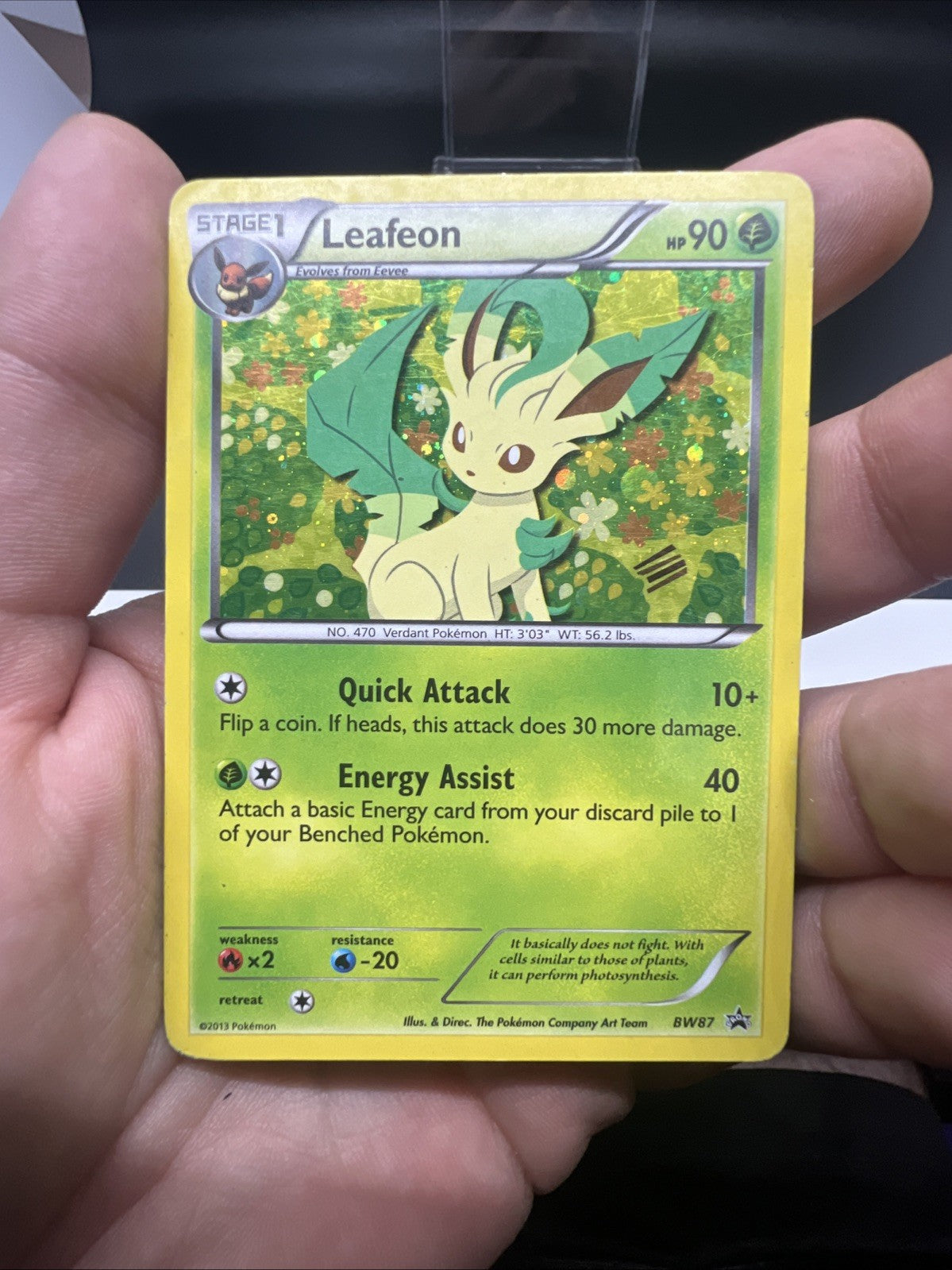 Pokemon Leafeon BW87 Black & White Holo - HEAVY PLAY