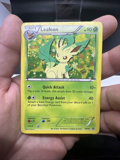Pokemon Leafeon BW87 Black & White Holo - HEAVY PLAY