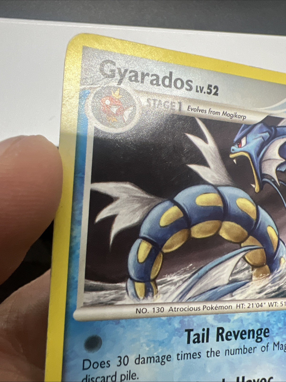 Pokemon Gyarados 019/100 Stormfront - Non Holo - MOD PLAY