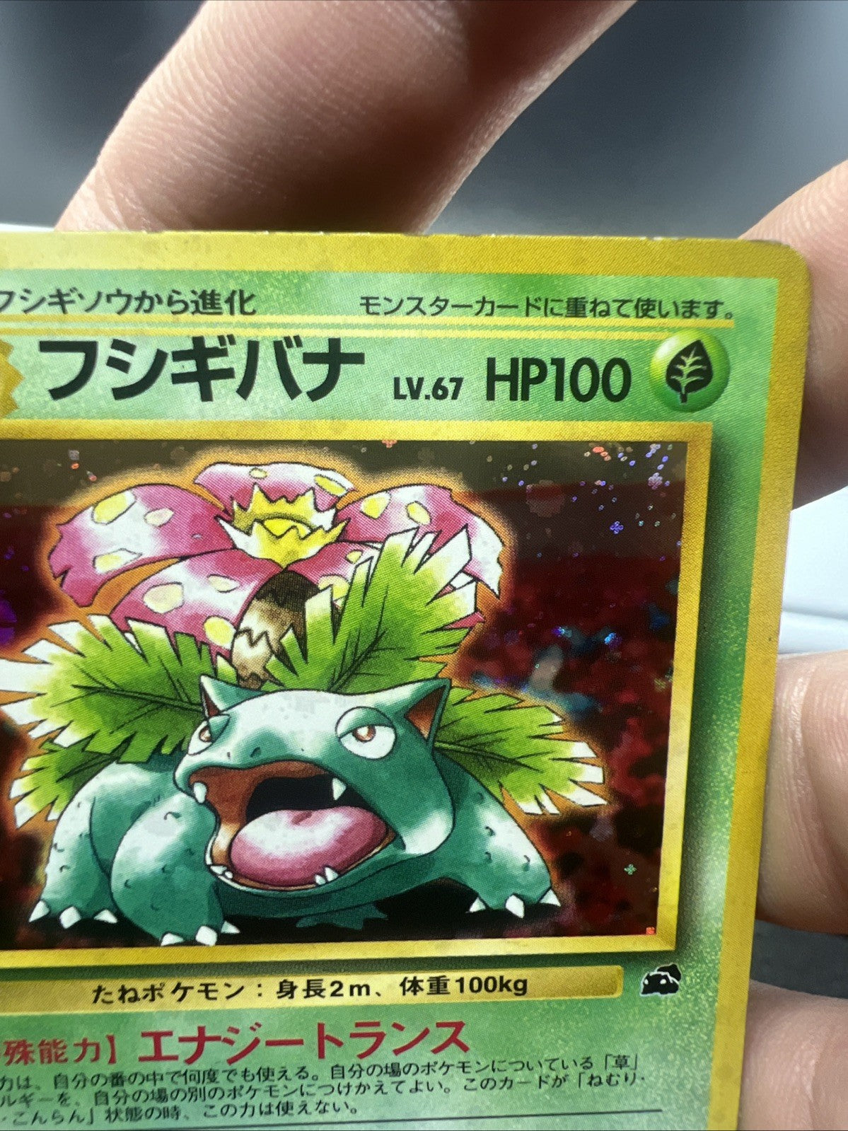 Pokemon Venusaur – Intro Pack (Bulbasaur Deck) – Holo (Japanese) – Moderate Play