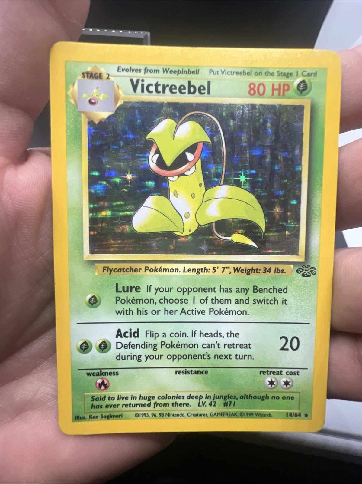 Pokemon Victreebel 14/64 – Jungle – Holo Rare – Moderate Play