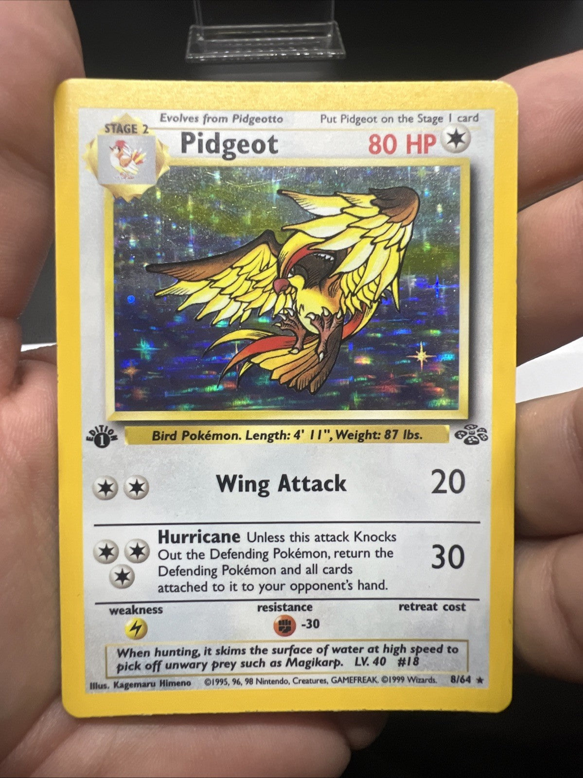 Pokemon Pidgeot 1st Edition 08/64 Jungle Holo - HEAVY PLAY