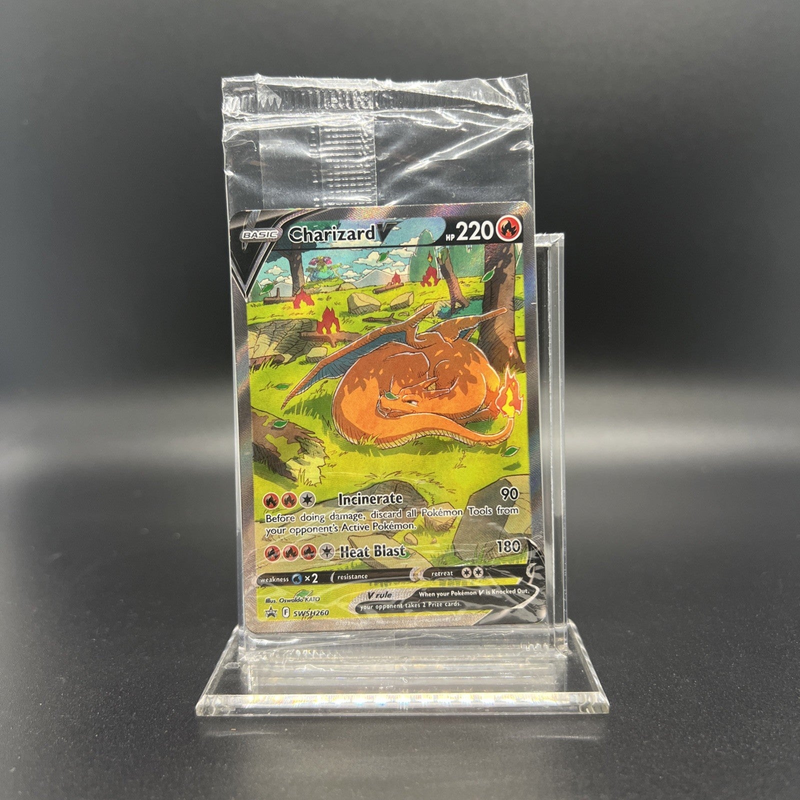 Sealed Charizard V, VMAX, VSTAR SWSH260 SWSH261 SWSH262 Sword & Shield Promos