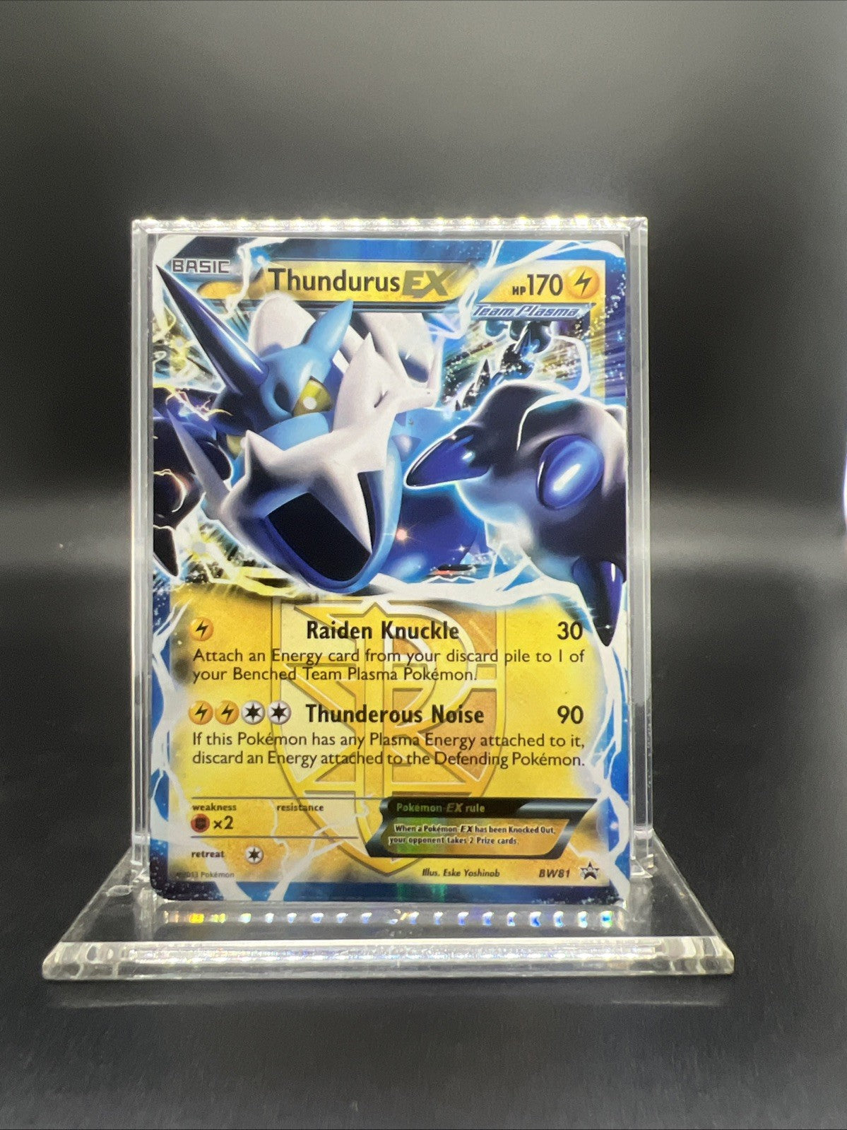 Pokemon Thundurus EX (Team Plasma) BW81 Black & White Holo - MOD PLAY