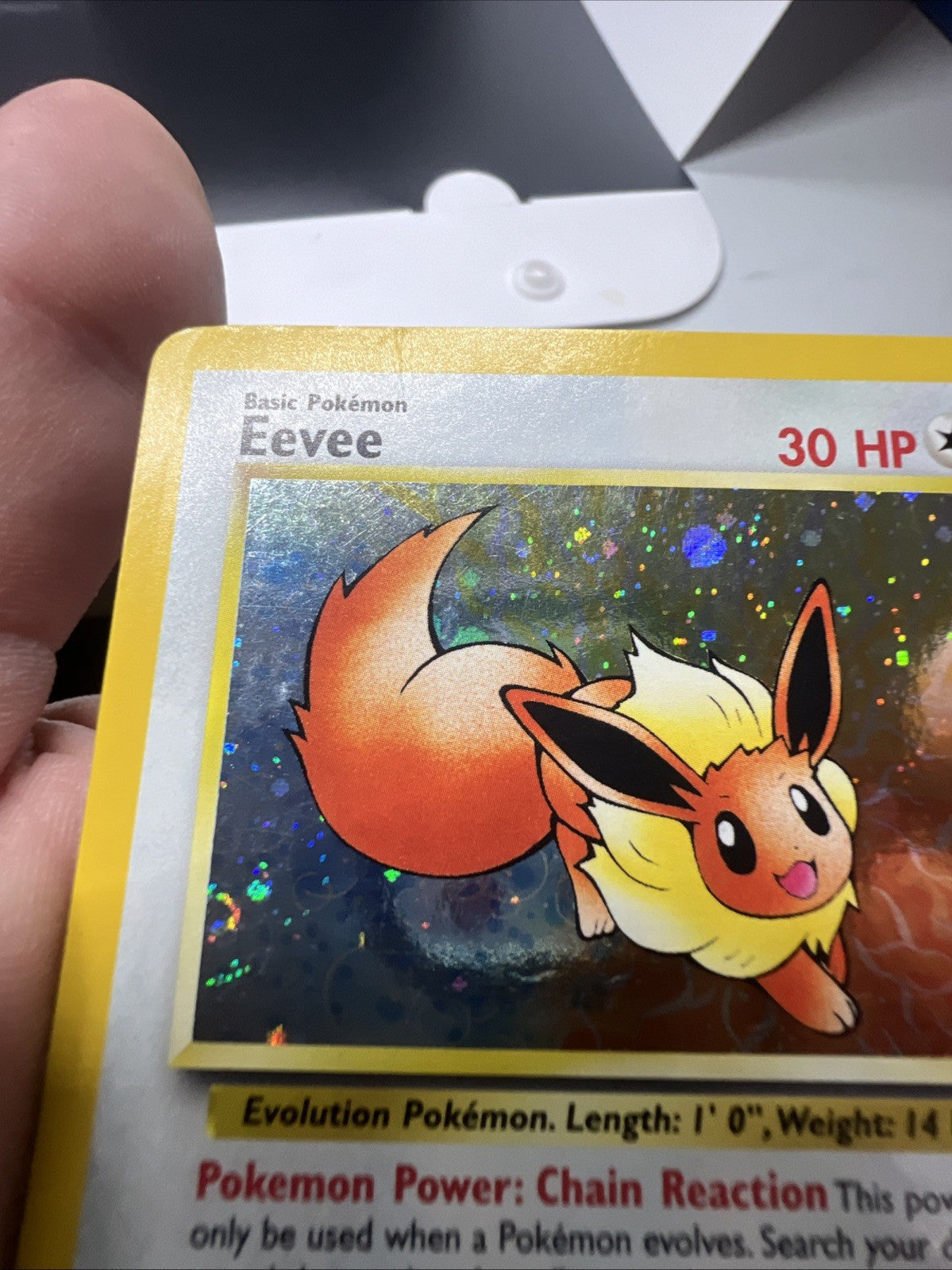 Eevee 11/53 – WOTC Promo – Holo – Heavy Play - Pokemon