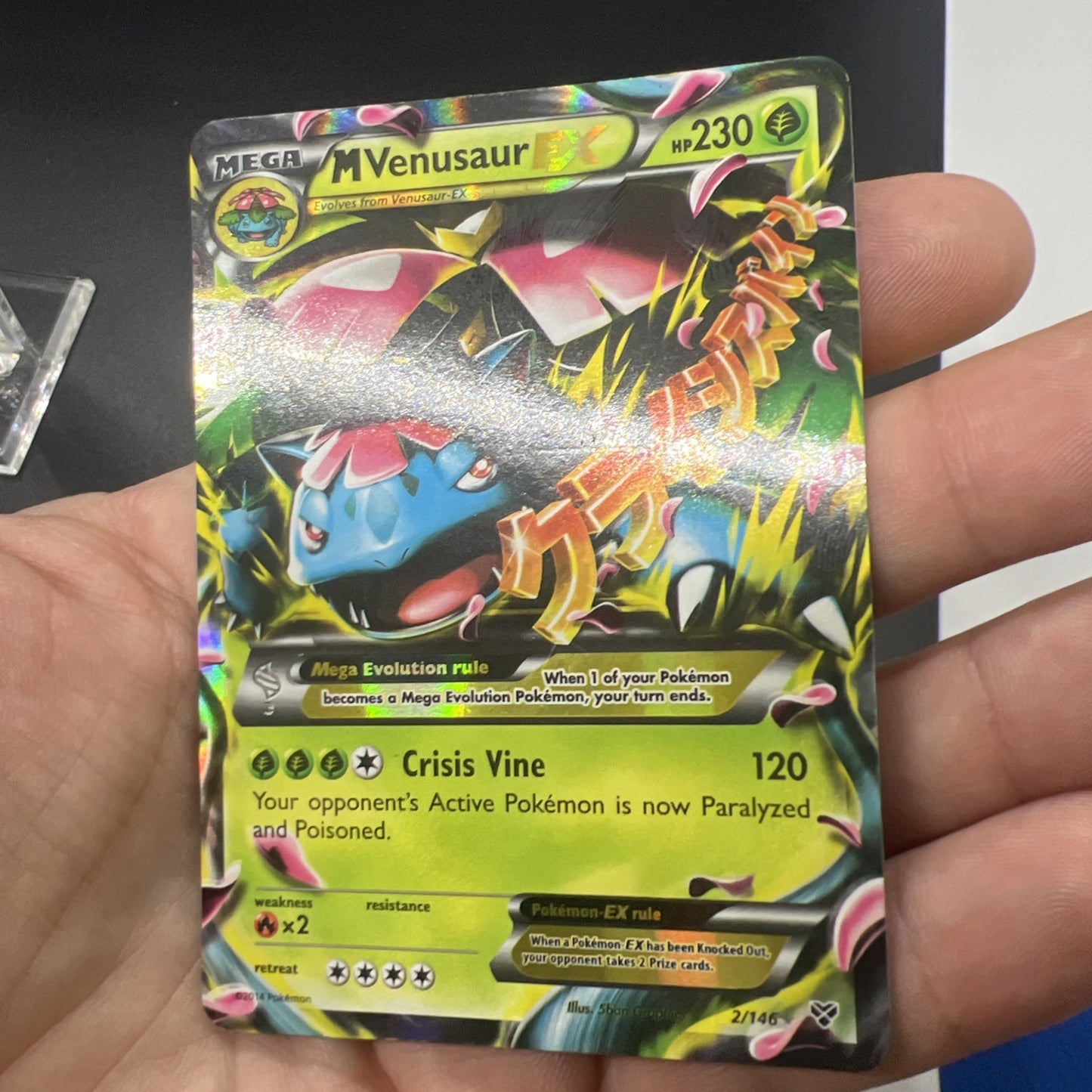 Pokemon M Venusaur EX 2/146 XY Holo - LIGHT PLAY