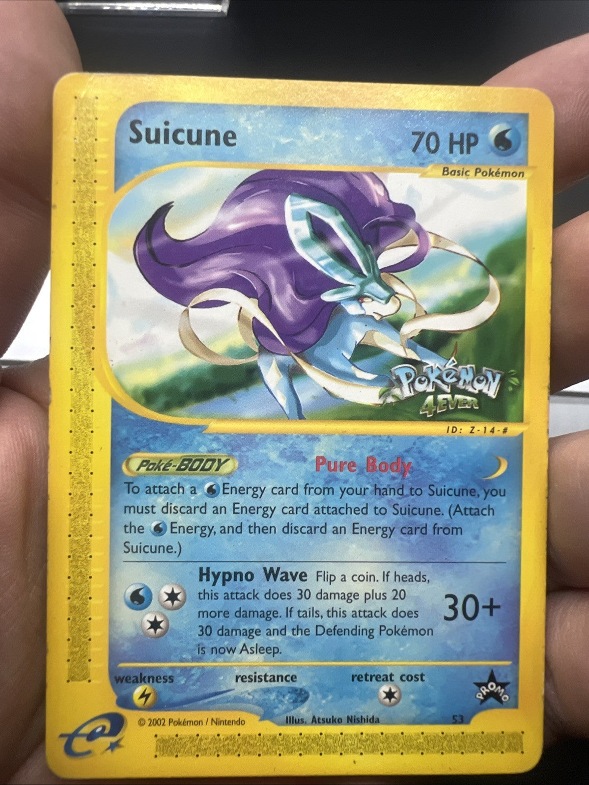 Pokemon Suicune 53 Black Star Promo Non Holo - MOD PLAY