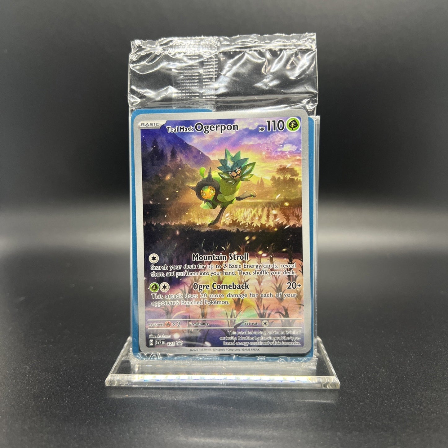 Sealed Teal Mask Ogerpon 123 Sv: Scarlet & Violet Promo Holo
